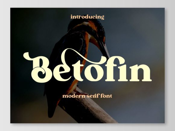 Betofin: The Serif Font for Scroll-Stopping Campaigns