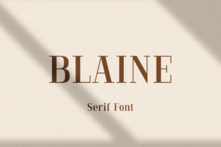 Blaine: The Serif Font That Elevates Your Brand