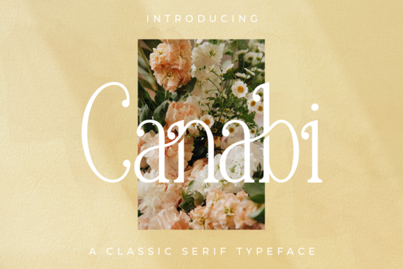 Canabi Font: A Condensed Serif for Crafters