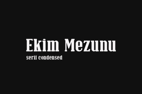Ekim Mezunu: A Condensed Serif Font for Modern Web Design
