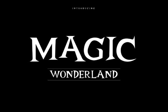 Magic Wonderland: A Designer’s Honest Review