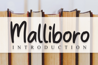 Malliboro Font: A Quirky Serif for Bold Brands