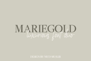 Mariegold Duo: A Serif Font for Makers