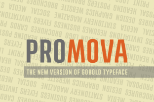 Promova Font: A Bold Serif for Crafters