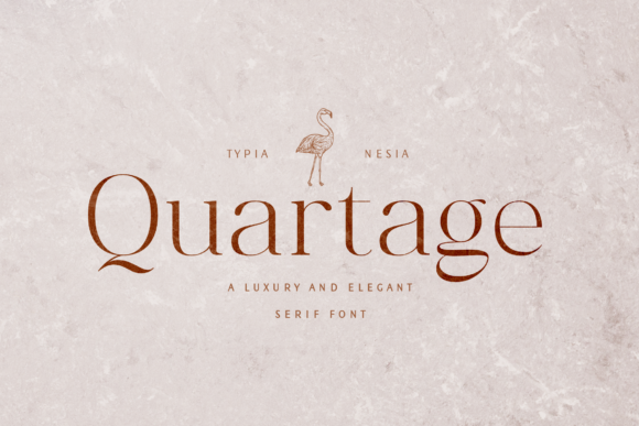 Quartage: A Designer’s Honest Review for Branding