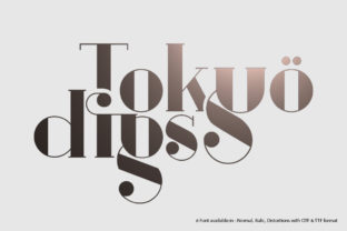 Tokyo Digs: A Premium Serif Font for Crafters